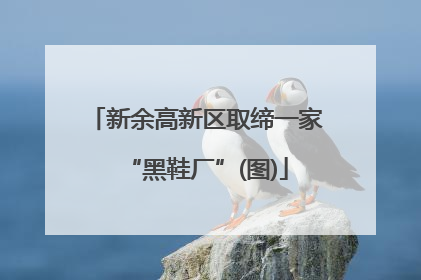 新余高新区取缔一家“黑鞋厂”(图)