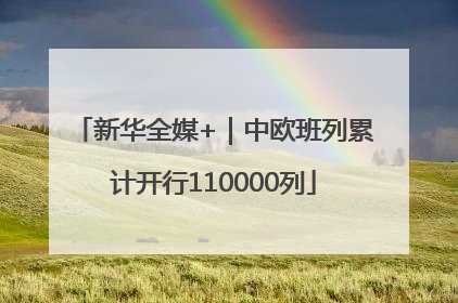 新华全媒+｜中欧班列累计开行110000列