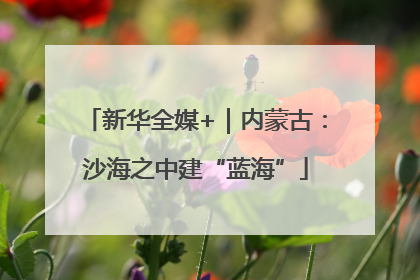 新华全媒+｜内蒙古：沙海之中建“蓝海”