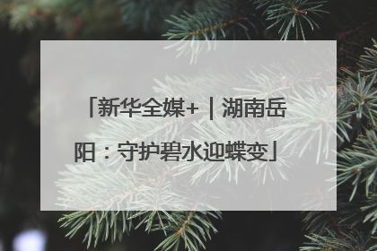 新华全媒+｜湖南岳阳：守护碧水迎蝶变