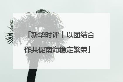 新华时评丨以团结合作共促南海稳定繁荣