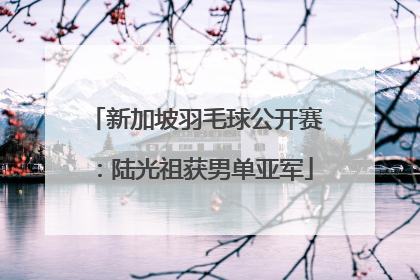 新加坡羽毛球公开赛：陆光祖获男单亚军