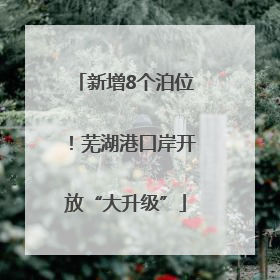 新增8个泊位！芜湖港口岸开放“大升级”
