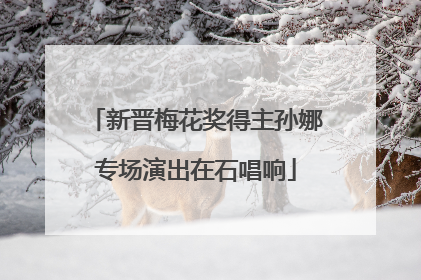 新晋梅花奖得主孙娜专场演出在石唱响