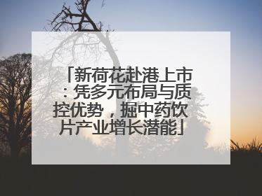 新荷花赴港上市：凭多元布局与质控优势，掘中药饮片产业增长潜能