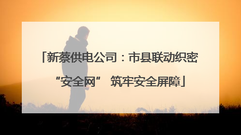 新蔡供电公司：市县联动织密“安全网” 筑牢安全屏障