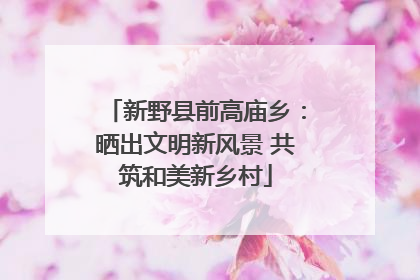 新野县前高庙乡：晒出文明新风景 共筑和美新乡村