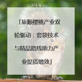 旅顺樱桃产业双轮驱动：套袋技术与精品路线助力产业提质增效