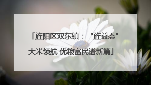 旌阳区双东镇：“旌益态”大米领航 优粮富民谱新篇