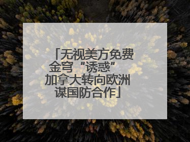 无视美方免费金穹“诱惑” 加拿大转向欧洲谋国防合作