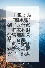 日照：从“流水账”到“云台账”看农村财务管理新变革，莒县——数字赋能激活乡村振兴“一池春水”