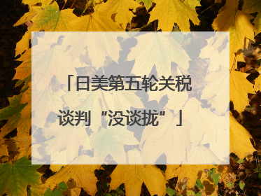 日美第五轮关税谈判“没谈拢”