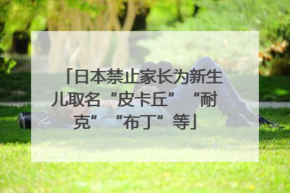 日本禁止家长为新生儿取名“皮卡丘”“耐克”“布丁”等