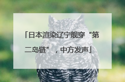 日本渲染辽宁舰穿“第二岛链”，中方发声
