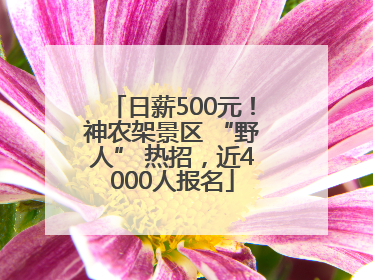 日薪500元！神农架景区 “野人” 热招，近4000人报名