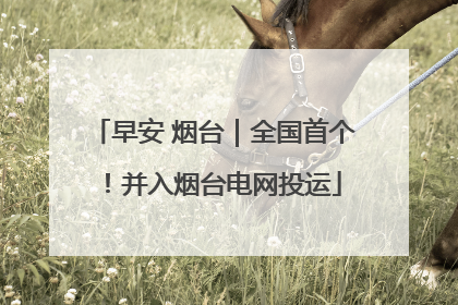 早安 烟台｜全国首个！并入烟台电网投运