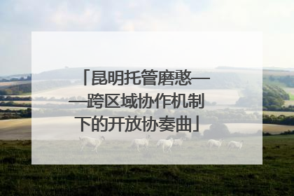 昆明托管磨憨——跨区域协作机制下的开放协奏曲