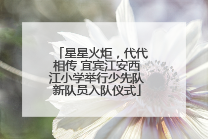 星星火炬，代代相传 宜宾江安西江小学举行少先队新队员入队仪式