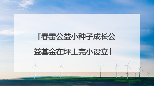 春雷公益小种子成长公益基金在坪上完小设立