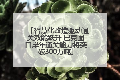 智慧化改造驱动通关效能跃升 巴克图口岸年通关能力将突破300万吨