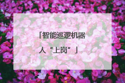 智能巡逻机器人“上岗”