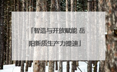 智造与开放赋能 岳阳新质生产力提速