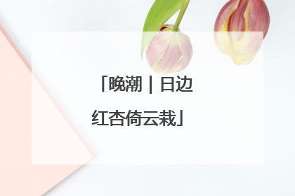 晚潮｜日边红杏倚云栽
