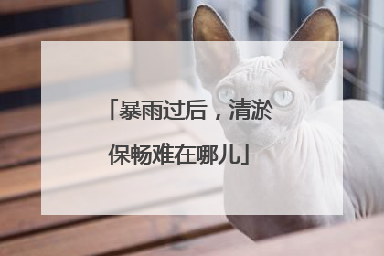 暴雨过后，清淤保畅难在哪儿