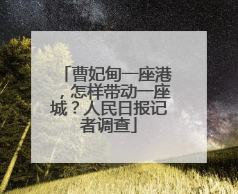 曹妃甸一座港，怎样带动一座城？人民日报记者调查