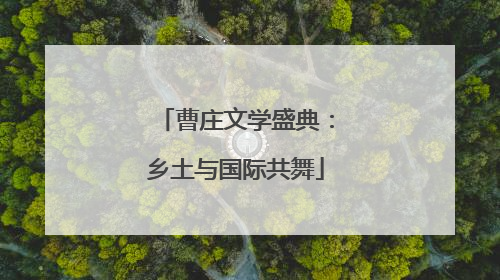 曹庄文学盛典：乡土与国际共舞