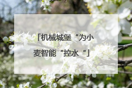 机械城堡“为小麦智能“控水“