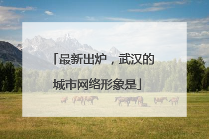 最新出炉，武汉的城市网络形象是