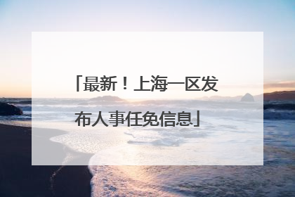 最新！上海一区发布人事任免信息