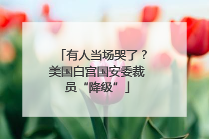 有人当场哭了？美国白宫国安委裁员“降级”