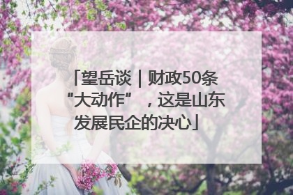 望岳谈｜财政50条“大动作”，这是山东发展民企的决心