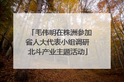 毛伟明在株洲参加省人大代表小组调研北斗产业主题活动