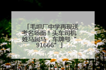 毛坦厂中学再现送考名场面！头车司机姓马属马，车牌号“91666”