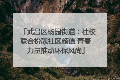 武昌区杨园街道：社校联合扮靓社区颜值 青春力量推动环保风尚