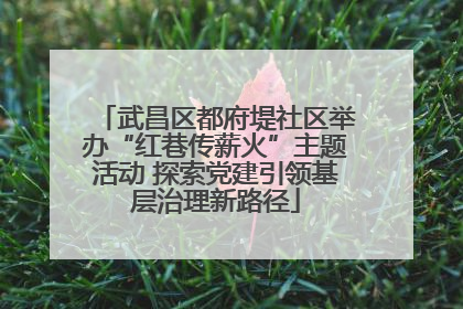 武昌区都府堤社区举办“红巷传薪火”主题活动 探索党建引领基层治理新路径
