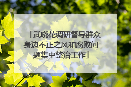 武晓花调研督导群众身边不正之风和腐败问题集中整治工作