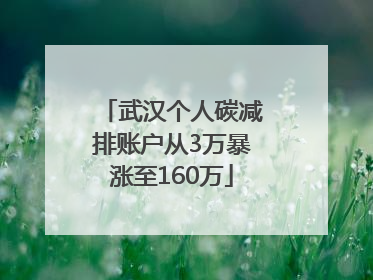 武汉个人碳减排账户从3万暴涨至160万