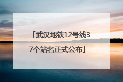 武汉地铁12号线37个站名正式公布