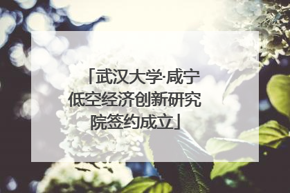 武汉大学·咸宁低空经济创新研究院签约成立