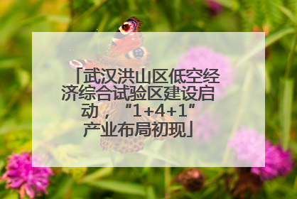 武汉洪山区低空经济综合试验区建设启动，“1+4+1”产业布局初现