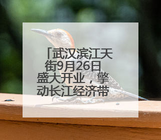武汉滨江天街9月26日盛大开业，擎动长江经济带商业新地标
