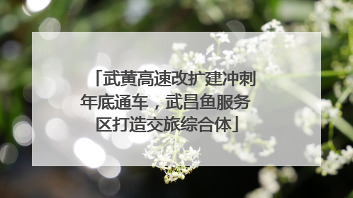 武黄高速改扩建冲刺年底通车，武昌鱼服务区打造交旅综合体