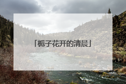 栀子花开的清晨