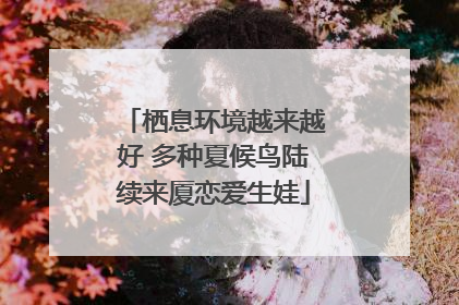 栖息环境越来越好 多种夏候鸟陆续来厦恋爱生娃