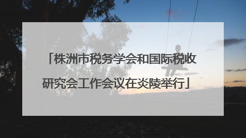 株洲市税务学会和国际税收研究会工作会议在炎陵举行