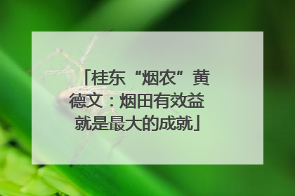 桂东“烟农”黄德文：烟田有效益就是最大的成就